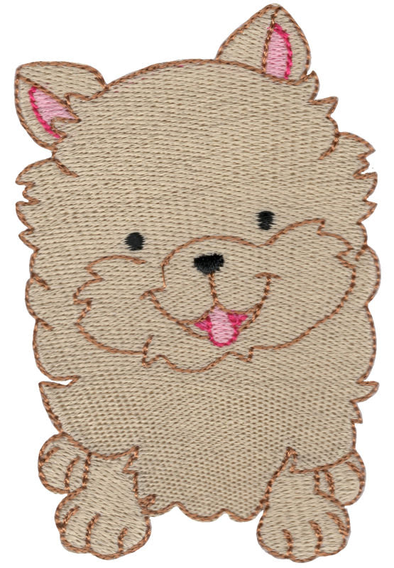 BCD Pomeranian