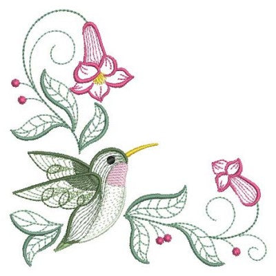 APE Rippled Hummingbird 3 - 2