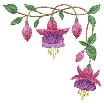 APE Fuchsia 2 - 3