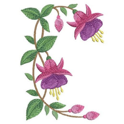 APE Fuchsia 2 - 9