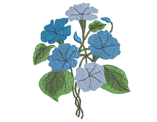 OE Bindweed Blue