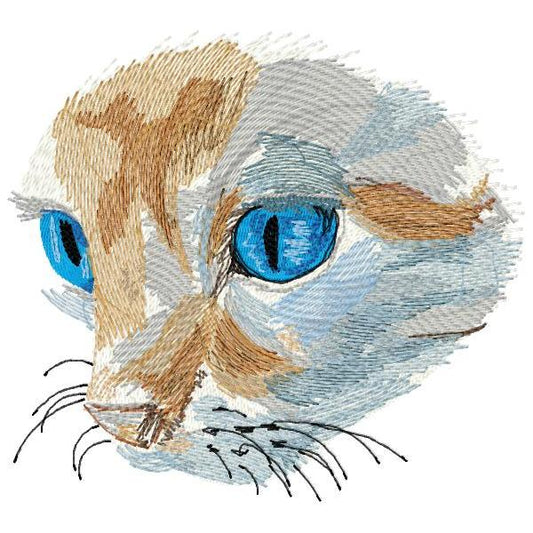 DED Cat portrait