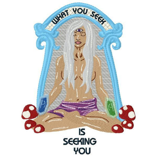 DED What you seek is seeking you saying